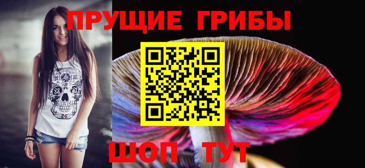 Псилоцибиновые грибы GOLDEN TEACHER Ефремов