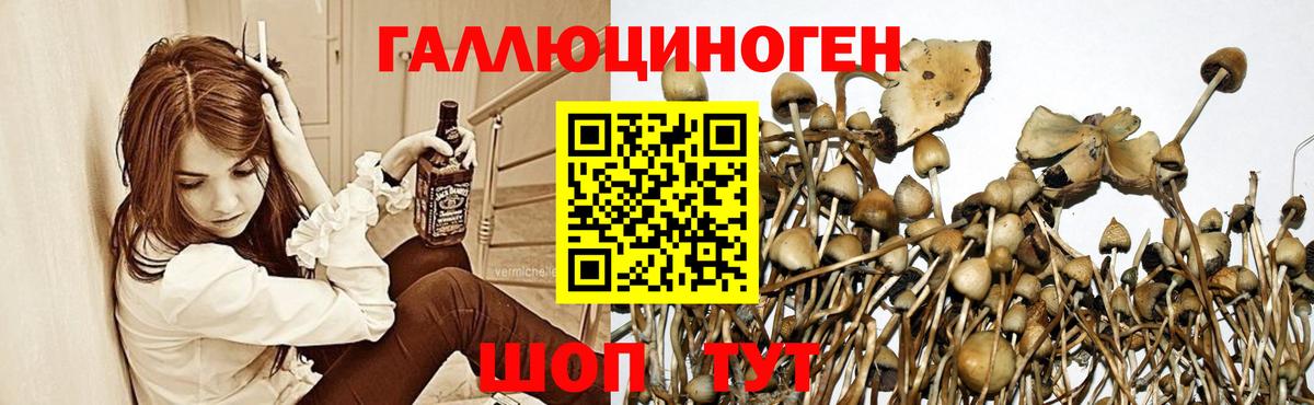 сколько стоит  Галлюциногенные грибы мицелий  Вход с VPN  Ефремов 