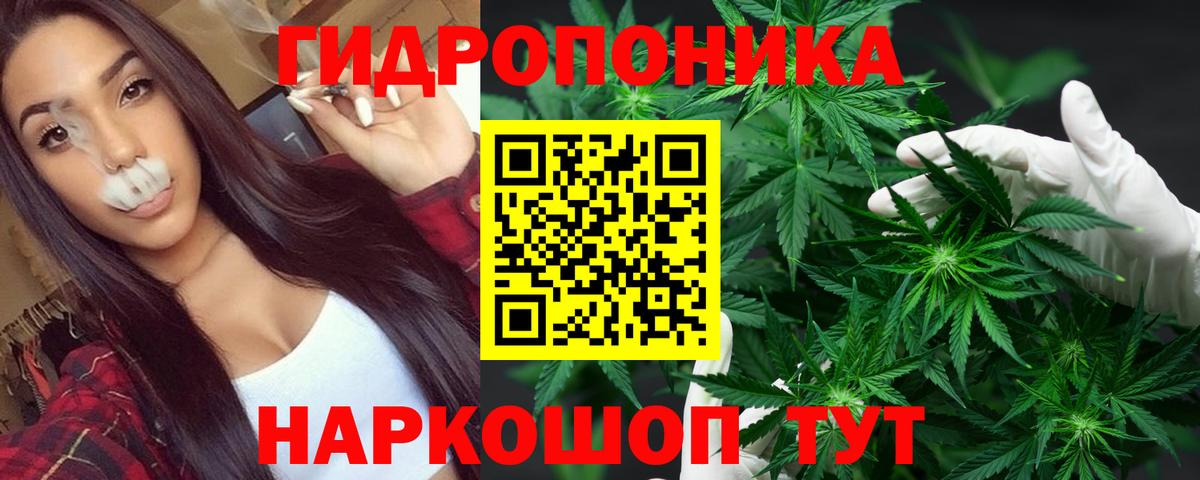 Шишки марихуана индика Ефремов